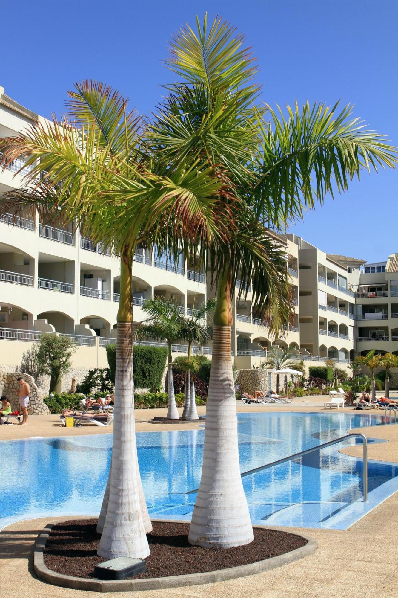 La Vida Buena Apartament Palm-mar